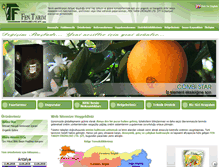 Tablet Screenshot of fentarim.com